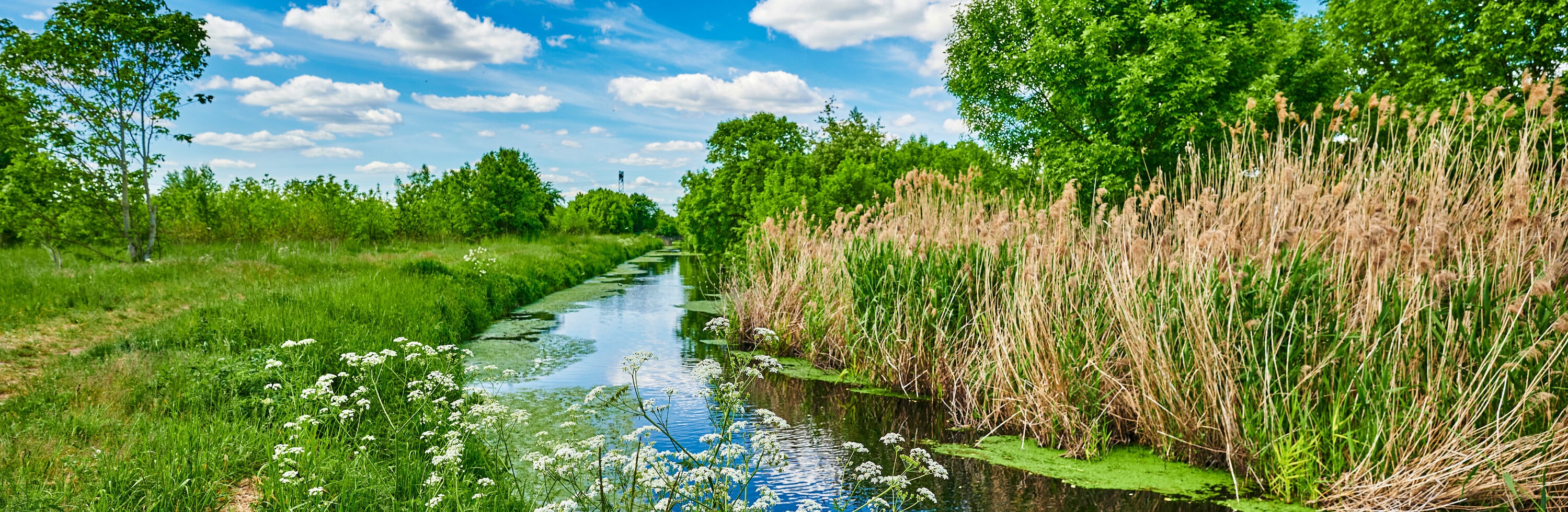 Stock photo blue and cloudy sky over a little creek in the surrounding countryside of berlin germany. Stockfoto 1736581094